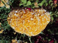 photos 2000-200902736